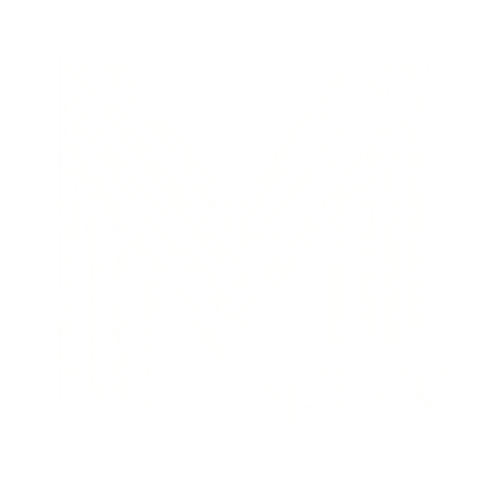 MSpace logo — white